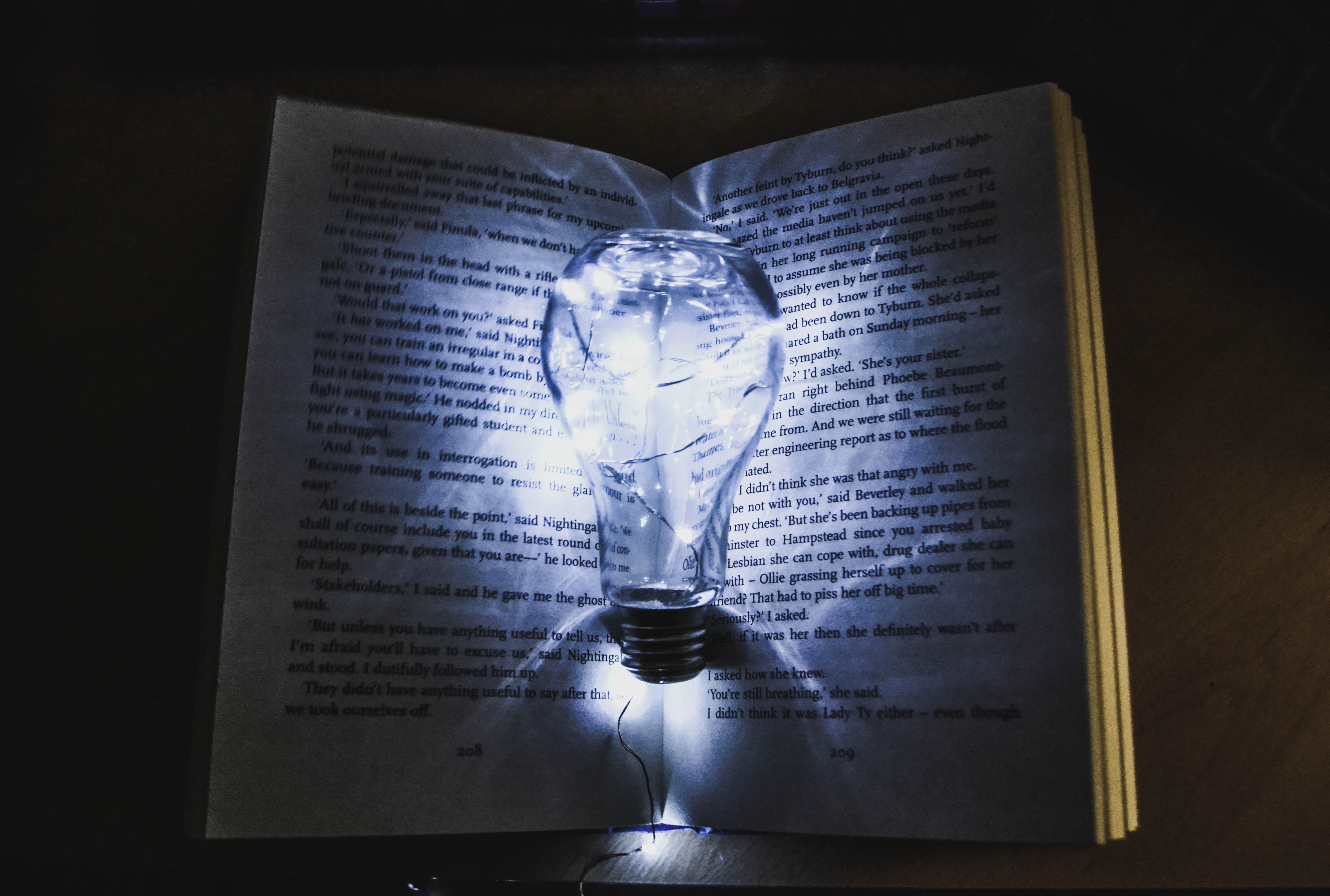 lightbulb